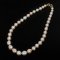 10.15 - 12.90 mm, Gold South Sea Pearl, Graduated Pearl Necklace