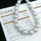 (GIA) 12.20 mm to 14.95 mm, White South Sea Pearl, Graduated Pearl Necklace