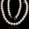 Approx. 6.0 mm, Akoya Pearl, Uniform Pearl Necklace