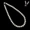 7.66 - 11.90 mm, White South Sea Pearl, Graduated Pearl Necklace