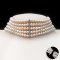 Approx. 6.0 mm, Freshwater Pearl, Five Strands Uniform Pearl Collar