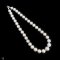 Approx. 11.0 mm - 13.5 - 14.0 mm, Edison Pearl, Graduated Pearl Necklace