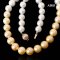 10.0 mm - 11.7 mm, White & Gold South Sea Pearl, Gradient Colored Graduated Pearl Necklace