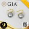 [GIA] ผลิตภัณฑ์ไข่มุกจัดเซต ต่างหูและสร้อยคอ ไข่มุกตาฮิติน้ำเค็มคัดเกรด สีเทา-ฟ้า ทรงกลม ขนาด 11-13 mm เกรด AAA ตัวเรือนต่างหูช้อนใหญ่ ทองแท้ 18K และสร้อยไข่มุกล้วน ความยาวประมาณ 17.5" ตะขอเม็ดมะยมแบบ Push Bar Clasp ทองแท้ 14K