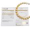 (GIA) 12.10 mm to 13.95 x 13.82 mm, South Sea Pearl , Uniform Pearl Necklace