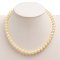 (GIA) 8.03 mm to 8.53 mm, Akoya Pearl, Graduated Pearl Necklace
