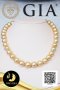 สร้อยคอไข่มุก South Sea ล้วน ไล่ระดับ (Graduated Necklace) ความยาวรวมตะขอ 17.5" ไข่มุก South Sea คัดเกรดพรีเมี่ยม สีทอง-Middle Gold ทรงเกือบกลม-กลม ขนาด 12-14.5 mm เกรด AAA (ตามมารฐาน PGS) ไข่มุกผ่านการตรวจรับรองคุณภาพจาก สถาบัน GIA (GIA Report No. :
