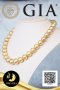 สร้อยคอไข่มุก South Sea ล้วน ไล่ระดับ (Graduated Necklace) ความยาวรวมตะขอ 17.5" ไข่มุก South Sea คัดเกรดพรีเมี่ยม สีทอง-Middle Gold ทรงเกือบกลม-กลม ขนาด 12-14.5 mm เกรด AAA (ตามมารฐาน PGS) ไข่มุกผ่านการตรวจรับรองคุณภาพจาก สถาบัน GIA (GIA Report No. :