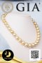 สร้อยคอไข่มุก South Sea ล้วน ไล่ระดับ (Graduated Necklace) ความยาวรวมตะขอ 17.5" ไข่มุก South Sea คัดเกรดพรีเมี่ยม สีทอง-Middle Gold ทรงเกือบกลม-กลม ขนาด 12-14.5 mm เกรด AAA (ตามมารฐาน PGS) ไข่มุกผ่านการตรวจรับรองคุณภาพจาก สถาบัน GIA (GIA Report No. :