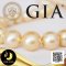 สร้อยคอไข่มุก South Sea ล้วน ไล่ระดับ (Graduated Necklace) ความยาวรวมตะขอ 17.5" ไข่มุก South Sea คัดเกรดพรีเมี่ยม สีทอง-Middle Gold ทรงเกือบกลม-กลม ขนาด 12-14.5 mm เกรด AAA (ตามมารฐาน PGS) ไข่มุกผ่านการตรวจรับรองคุณภาพจาก สถาบัน GIA (GIA Report No. :