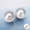 (PSL) Approx. 8.5 mm, Aurora Hanadama, Akoya Pearl, Stud Pearl Earrings