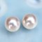 (PSL) Approx. 8.5 mm, Aurora Hanadama, Akoya Pearl, Stud Pearl Earrings