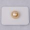 ไข่มุกเม็ดร่วง ไข่มุก South Sea Pearl สีทอง (Light Gold) ทรงกลม ขนาด 14.1 mm. เกรด AA+ - AAA / 17.7.65