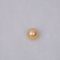 ไข่มุกเม็ดร่วง ไข่มุก South Sea Pearl สีทอง (Middle Gold) ทรงกลม ขนาด 13.5 mm. เกรด AA+ - AAA / 17.7.65