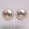 (PSL) Approx.9.1 mm, Aurora Tennyo, Pearl Loose Pearls