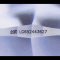 (IGI) 1.13 ct., Laboratory Grown Diamond (Round Brilliant, HPHT, 1.13 ct, D, VS 2), Six Prongs Flower Solitaire Diamond Shoulder Snake Scales Diamond Paved Ring