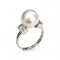 Approx. 10.5 mm, Edison Pearl, Solitaire Pearl Brick Shoulder CZ Paved Ring