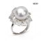 14.0 mm, White South Sea Pearl, Leaves CZ Paved Solitaire Pearl Ring