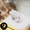 แหวน Open Ring มุกน้ำจืดคัดเกรด สีขาว 6 เม็ด ทรงกลม ขนาด 5-6 mm เกรด AA+ ตัวเรือนเงินแท้ 92.5 ชุบทองคำขาว /C049