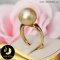 แหวนมุกเม็ดเดี่ยว มุก South Sea คัดเกรด สีทอง Light Gold (คละโทนและประกาย) ทรงSemi-round ขนาด 13 mm เกรด AA ตัวเรือนเงินแท้ 92.5 ชุบทอง / R840 / 3.2.64