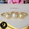แหวนมุกจัมโบ้เม็ดเดี่ยว มุก South Sea คัดเกรด สีทอง Light Gold (คละโทนและประกาย) ทรง Semi-round ขนาด 14 mm เกรด AA ตัวเรือนเงินแท้ 92.5 ชุบทอง / R841 / 3.2.64