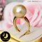 แหวนมุกจัมโบ้เม็ดเดี่ยว มุก South Sea คัดเกรด สีทอง Light Gold (คละโทนและประกาย) ทรง Semi-round ขนาด 14 mm เกรด AA ตัวเรือนเงินแท้ 92.5 ชุบทอง / R841 / 3.2.64