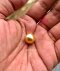 (เปิดขายเฉพาะในกลุ่ม) แหวนไข่มุก South Sea น้ำเค็มคัดเกรด สีทอง Deep Gold Green Overtone ทรงกลม ขนาดจัมโบ้ 13.10 mm เกรด AA+ Luster ดีเยี่ยม ตัวเรือนแหวน ปรับขนาดได้ตั้งแต่ 50-60 เงินแท้ 92.5 ชุบทอง ประดับเพชร CZ หลากสี