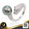 แหวน Open Ring หัวเสือ หางเพชร ไข่มุก Tahitian Pearl เม็ดเดี่ยว ประดับเพชร ไข่มุก Tahitian Pearl สายพันธุ์น้ำเค็มคัดเกรด สีดำ ทรงเกือบกลม ขนาด 10.5 mm เกรด AAA Luster ดีเยี่ยม ตัวเรือนแหวนแบบ Open Ring วัสดุเงินแท้ 925 ชุบสีทองคำขาว ประดับเพชร CZ /22.5.65