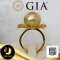 [ GIA ] แหวนดอกชบาไข่มุก South sea น้ำเค็มคัดเกรด สีทอง - Deep Gold ทรงกลม ขนาด 13.5 mm เกรด AAA ไข่มุกผ่านการตรวจรับรองคุณภาพจาก สถาบัน GIA (GIA Report No. : 7372936877) (code: 0146-0147 / 1,221) ตัวเรือนแหวนดอกชบาฉลุลาย เงินแท้ 92.5 ชุบทอง ประดับพลอยแท้