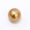 (PSL) (Amami Oshima) Approx. 12.5 mm, Aurora Chakin, Single Loose Pearl