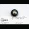 Approx. 11.0 mm, Tahitian Pearl, Single Loose Pearl