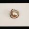 11.26 x 12.09 mm, Gold South Sea Pearl, Single Loose Pearl