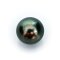 Approx. 14.0 mm, Tahitian Pearl, Single Loose Pearl