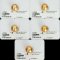 Approx. 11.0 mm, Oriental Odyssey Lot, Gold South Sea Pearl, Single Loose Pearl