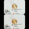 Approx. 10.0 mm, Palawan Elite Lot, Gold South Sea Pearl, Single Loose Pearl
