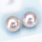 (PSL) Approx. 7.6 mm, Aurora Hanadama, Pair Pearl