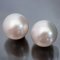 14.25 mm and 14.27 mm, White South Sea Pearl, Pair Pearls