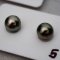 Approx.10.0 - 10.5 mm, Tahitian Pearl, Pair Pearls