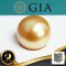 [GIA] ไข่มุกเม็ดเดี่ยว ไข่มุก South Sea น้ำเค็มคัดเกรดพิเศษ สีทอง Deep Gold ทรงเกือบกลม - กลม ขนาดจัมโบ้ 14.40 mm เกรด AA+ Luster ดีเยี่ยม ผิวสะอาด ไข่มุกการรับรองคุณภาพจากสถาบัน GIA (14/20 GIA Report 7383126689) เม็ดมุกมีรอยธรรมชาติ ±5% สินค้าทุกชิ้นมีใบ