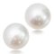 (PSL) 16.8 mm Pair Aurora Phoenix South Sea Pearl