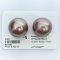 Approx. 15.0 -16.0 mm, Edison Pearl, Pair Pearl