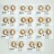 Approx. 13.0 - 15.0 mm, Gold South Sea Pearl, Pair Loose Pearls