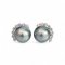 11.6 mm and 11.6 mm, Gray Feline Lot, Tahitian Pearl, Half Round Diamond Solitaire Pearl Stud Earrings