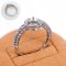 S925,ฺ Winter Wealth Pearl Ring Collection