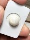 14.57x10.62 mm, Natural Clam Pearls, Loose Pearl