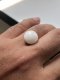 14.57x10.62 mm, Natural Clam Pearls, Loose Pearl