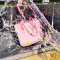 Fungoofun ZAIZAI BAG with Inner Bag กระเป๋าสะพาย EVA ดีไซน์ล้ำสมัย รุ่น F552