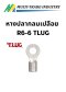 หางปลากลมเปลือย R6-6 TLUG