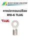 หางปลากลมเปลือย R10-6 TLUG