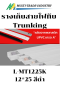 รางเก็บสายไฟทึบ Trunking